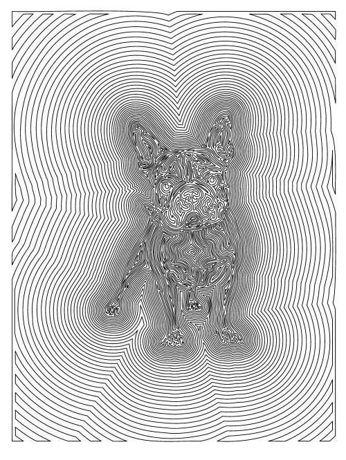 Obra Bulldog Frances - Anderson Alberton