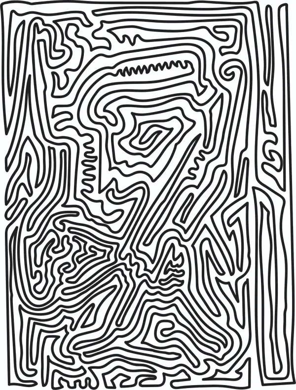 Obra No momento minha mente está  mais confusa que este desenho - Anderson Alberton