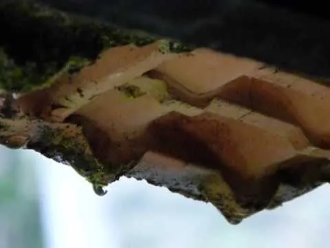 Obra De gota em gota Logo enche a caixa d'água - Anderson Alberton